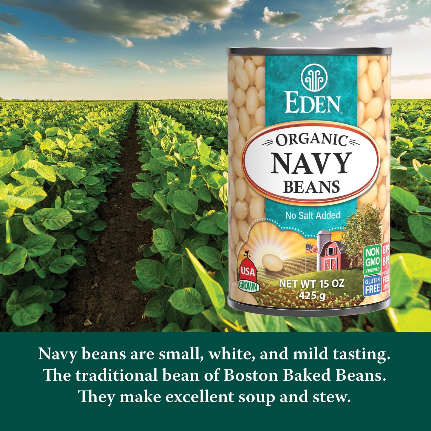 Eden Organic Navy Beans/White Beans, 15 oz Can (12-Pack), No Salt, Non-GMO, Gluten Free, Vegan, Kosher, U.S. Grown, Heat and Serve, Macrobiotic, Boston Bean