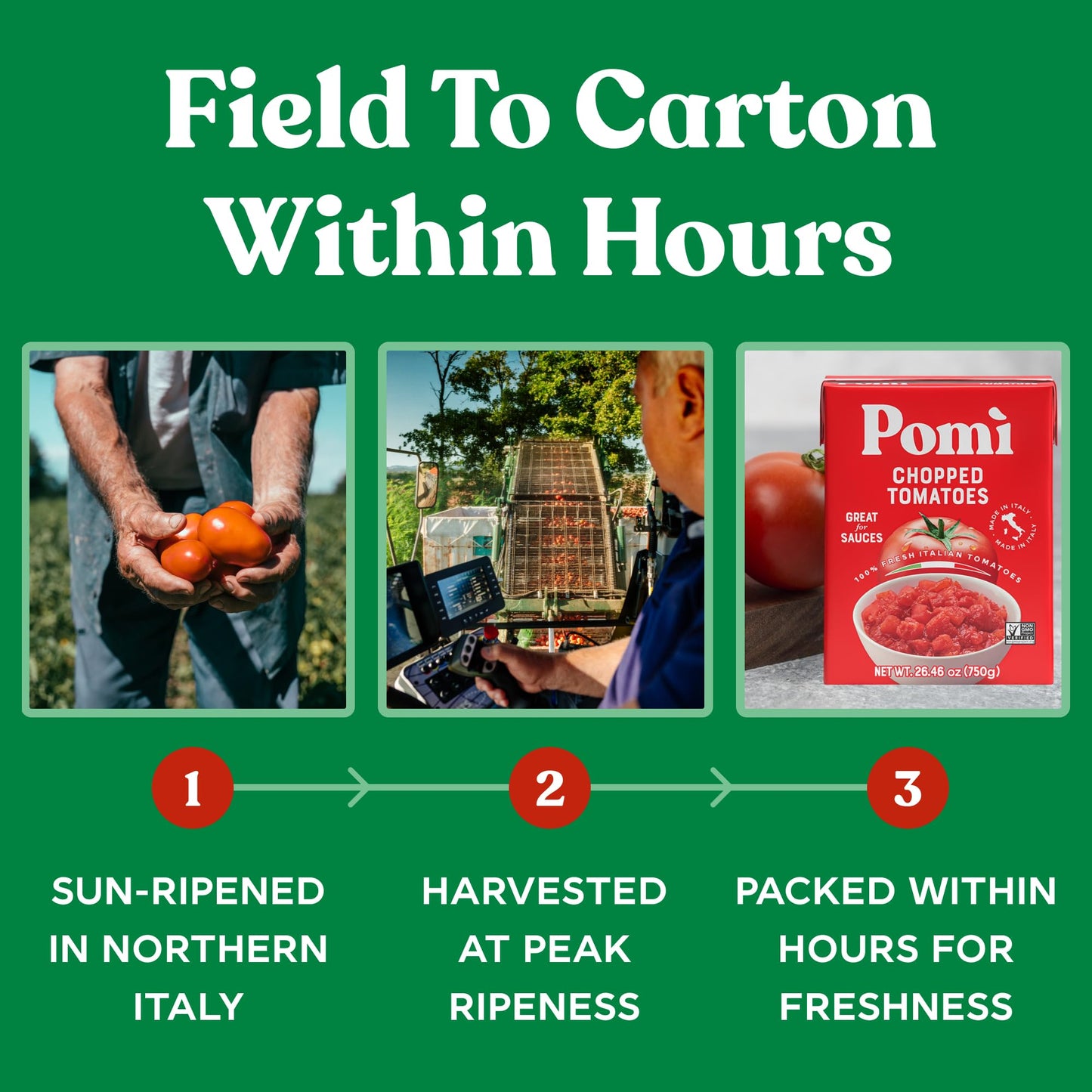 Pomì Chopped Tomatoes 26.46oz (Pack of 12) - Non-GMO, Gluten-Free, BPA-Free - 100% Fresh Italian Tomatoes for Sauces, Pasta & Pizza, Canned Tomatoes Alternative
