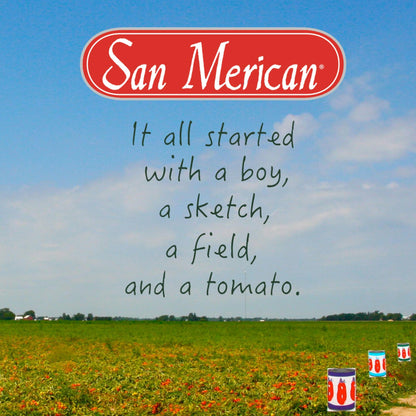 SMT San Merican Tomato Double Concentrated Tomato Paste, Imported from Italy, 4.4 oz (Pack of 2)