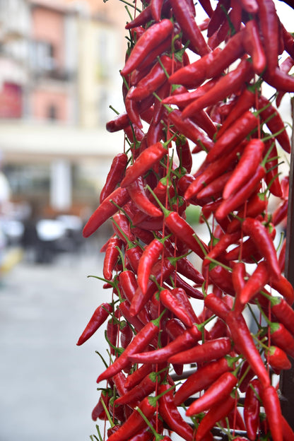 Sanniti Calabrian Chili Peppers | Italian Hot Long Chili Peppers | Perfect for Sandwiches, Salads, Pasta Sauces & More | 10 ounce Jar