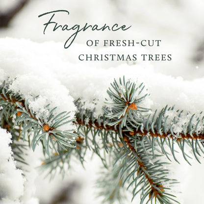 Thymes Frasier Fir Hand Cream, Travel Tin Candle Jar and Bar Soap Gift Set - Scented with Notes of Siberian Fir, Cedarwood, and Sandalwood - Luxury Home Fragrance Set - Hostess Gift for the Holidays