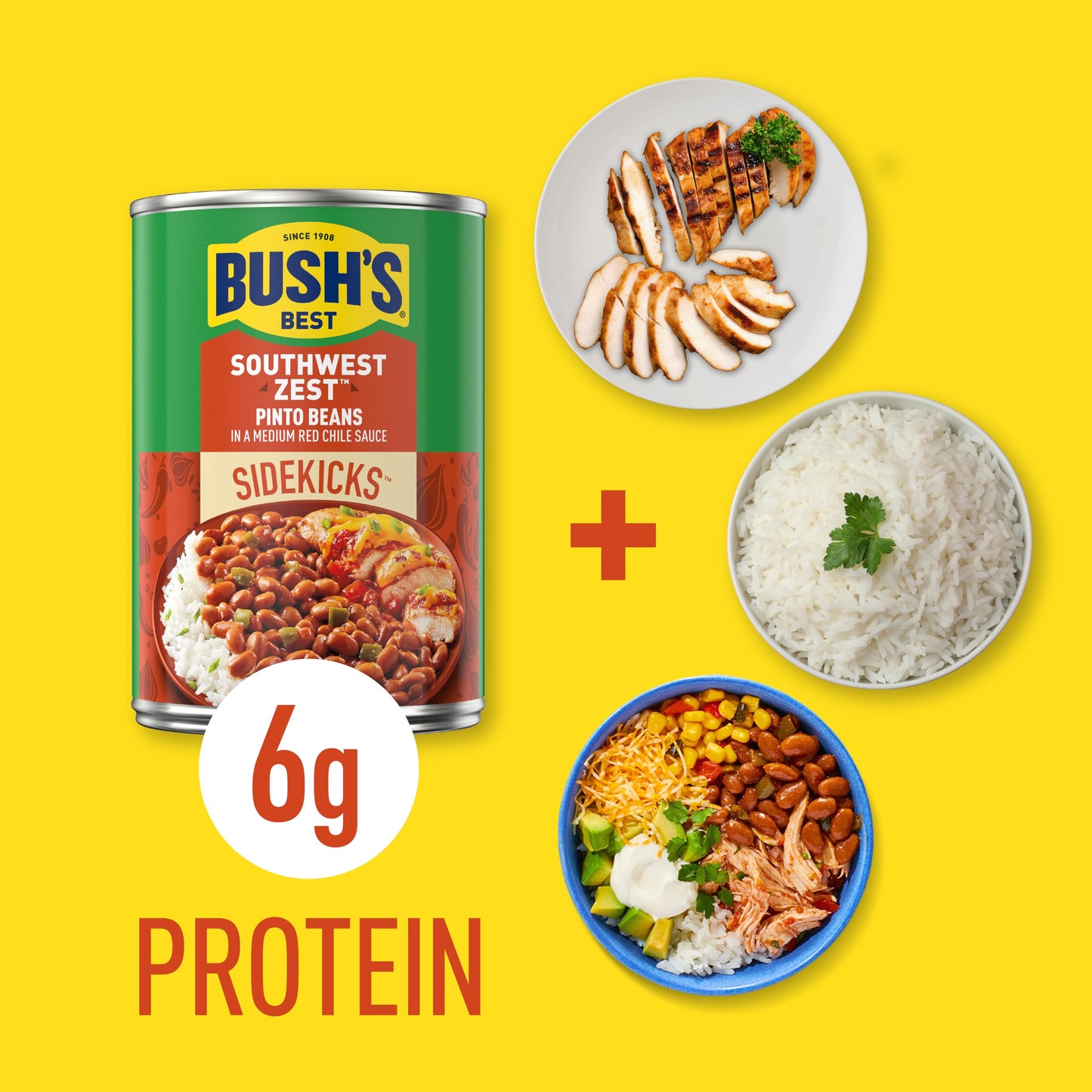 BUSH'S BEST 15 oz Canned Southwest Zest Pinto Beans, Source of Plant Based Protein and Fiber, Low Fat, Gluten Free, (Pack of 12)