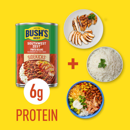 BUSH'S BEST 15 oz Canned Southwest Zest Pinto Beans, Source of Plant Based Protein and Fiber, Low Fat, Gluten Free, (Pack of 12)