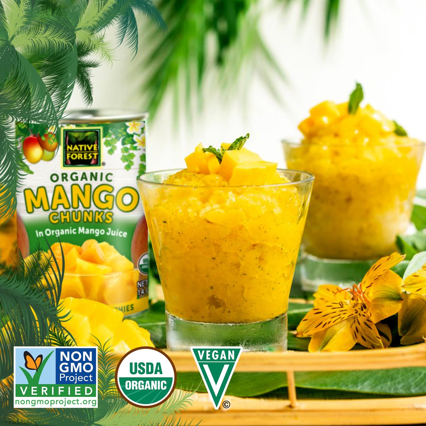 Native Forest Organic Mango Chunks - Mango Canned, Mangoes, Mangos, Canned Fruit No Sugar Added, Mango Sliced, Mango Fruit - 14 Ounce (Pack of 6)