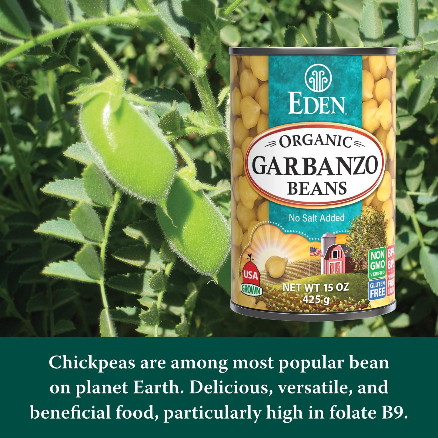 Eden Organic Garbanzo Beans, Chickpeas, 15 oz Can (12-Pack Case), No Salt Added, Non-GMO, Gluten Free, Vegan, Kosher, U.S. Grown, Heat and Serve, Macrobiotic