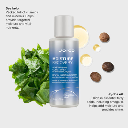Joico Moisture Recovery Moisturizing Conditioner | For Thick, Coarse, Dry Hair | Replenish Moisture | Restore Smoothness & Elasticity | Strengthen & Reduce Breakage | With Jojoba Oil & Shea Butter