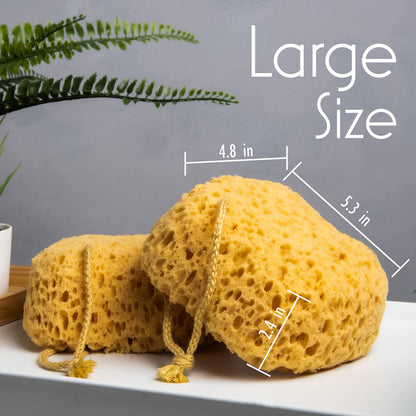 myHomeBody Bath Sponge, Foam Loofah, Body Scrubber for Bathing, Exfoliating Shower Pouf for Shower – Large Size, Lots of Lather, Curvy, 2 Pack