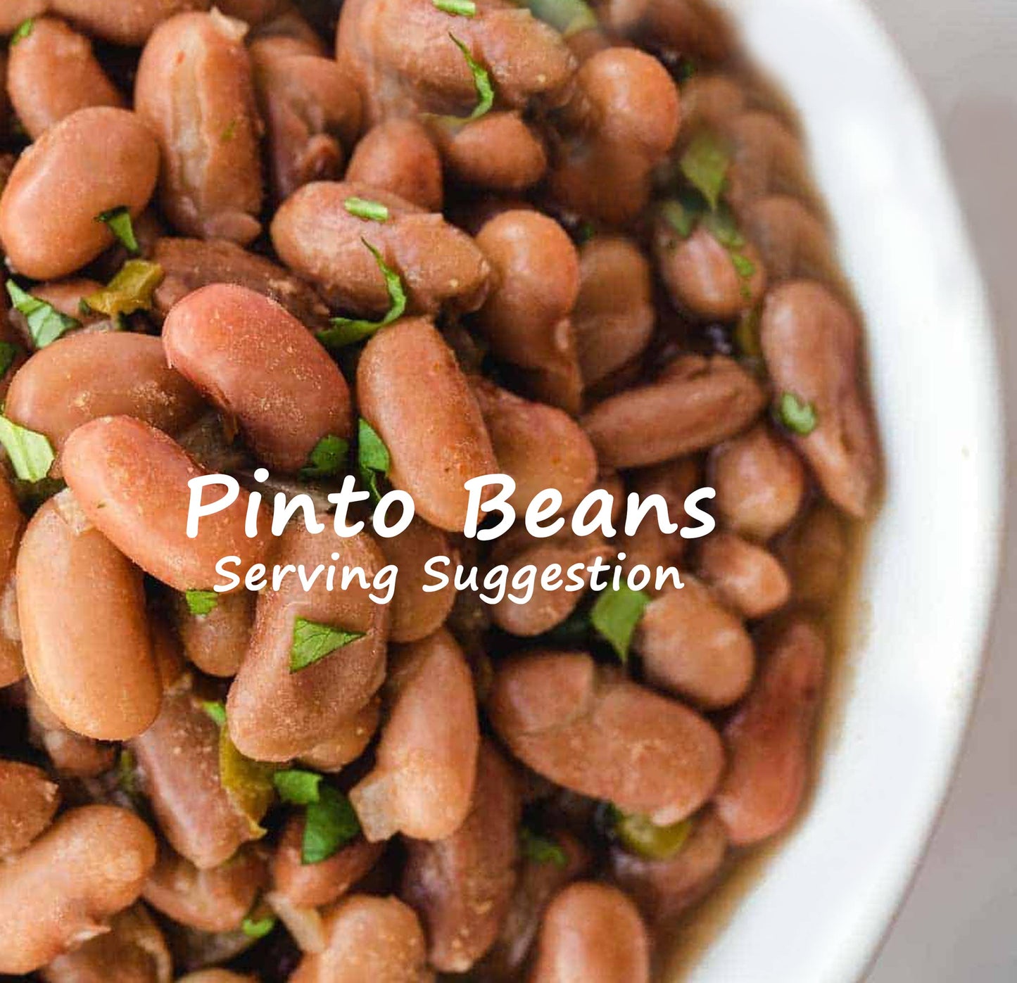 Lucks Pinto Beans With Pork - 6 x 15 Ounce Cans of Lucks Pinto Beans Canned, Canned Pinto Beans 6 Pack, Bundled with Recipe Sheet