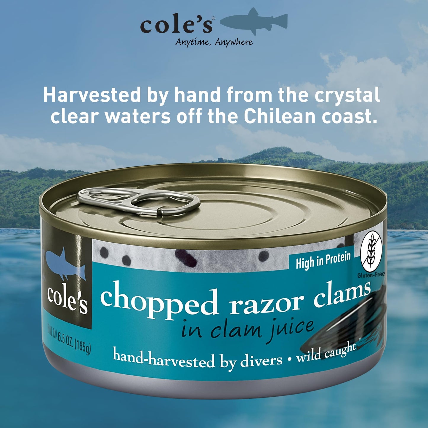 COLES CANNED AND CHOPPED CLAMS - Harvested in Crystal Clear Water, Gluten Free Food, High Protein and Low-Calorie Clams – Pack of 12 (6.5 oz per)