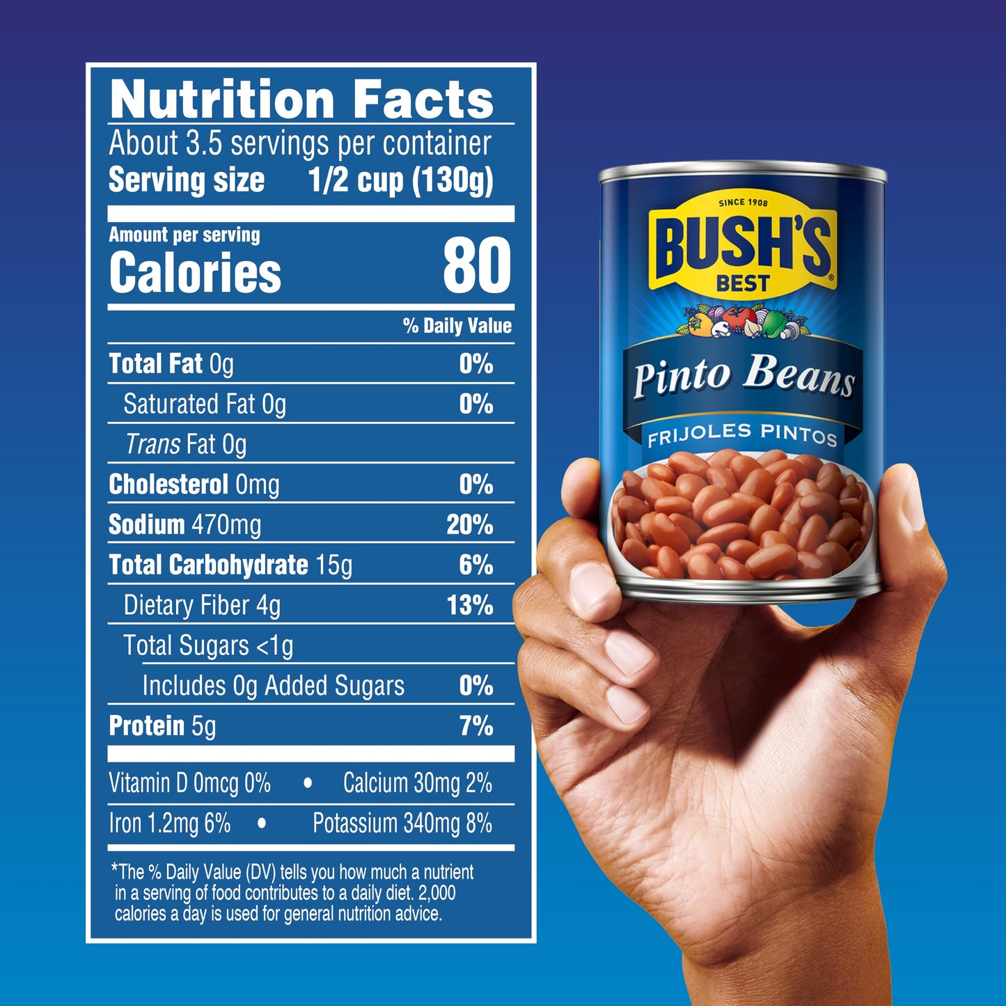 BUSH'S BEST Pinto Beans, 16 Ounce Can, Canned Beans, Pinto Beans Canned, Source of Plant Based Protein and Fiber, Low Fat, Gluten Free, For Soups, Salads and More