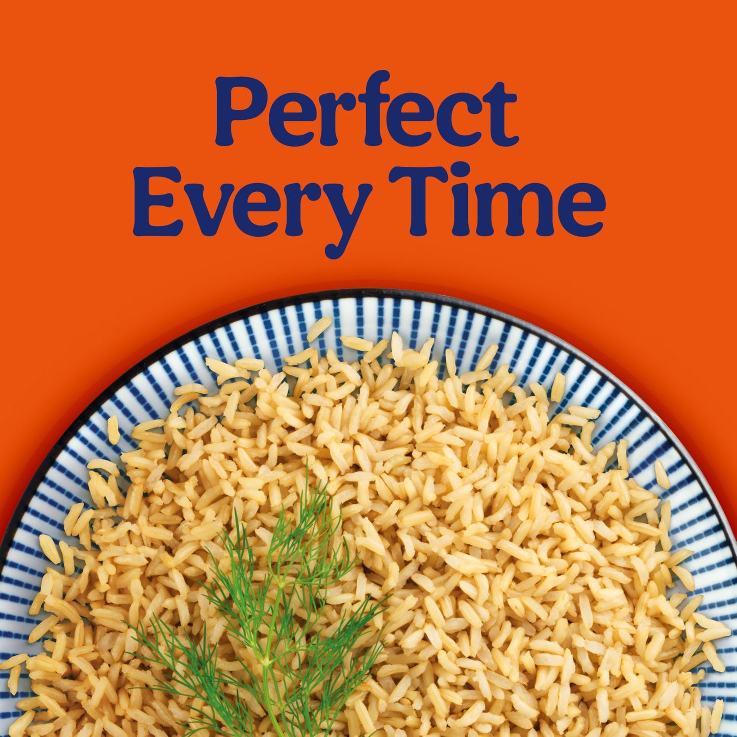 BEN'S ORIGINAL Ready Rice Brown Basmati Rice, Easy Dinner Side, 8.5 oz Pouch (Pack of 12)