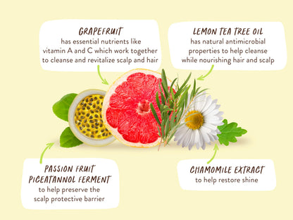 Babo Botanicals Purifying Lemon Tea Tree & Grapefruit Conditioner – For Flat, Oily Prone Hair – Add body & shine – Citrus-Mint Fragrance - Water-Resistant Carton w. 80% Less Plastic – Vegan