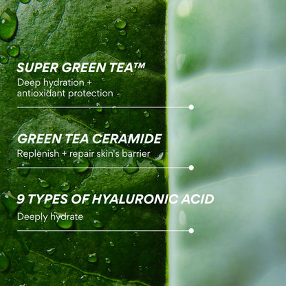 innisfree Green Tea Ceramide Milk, Hydrating & Lightweight Milky Toner for All Skin Types including Acne-Prone and Sensitive Skin, Available in Gift Set