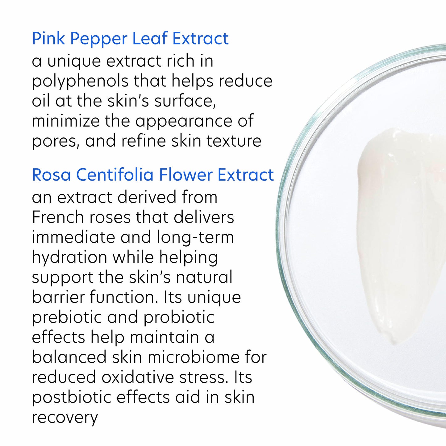 PCA SKIN HydraMatte Oil Control Moisturizer, Face Moisturizer for Oily Skin, Helps Reduce Oil and Promotes a Smoother Complexion, Absorbs Quickly, Great for Combination and Oily Skin, 1.8 oz Jar