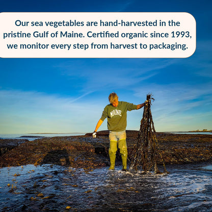 Maine Coast Sea Vegetables Organic Smoked Dulse Whole Leaf Bag | Nutritious Food & Seaweed Snacks | Good Source of Iodine & Minerals | North Atlantic Harvest | Great for Salad, Soup, Sandwiches | 2 oz