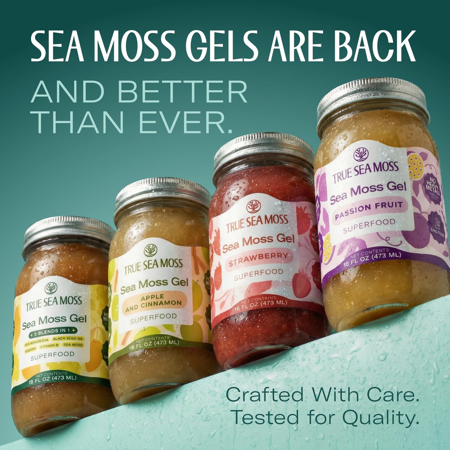 TrueSeaMoss Sea Moss Gel – Made in USA – 5-in-1 Formula – Wildcrafted Seamoss, Ashwagandha & Jarred Vegetables – Ashwagandha, Pack of 1 (Labels may Vary)