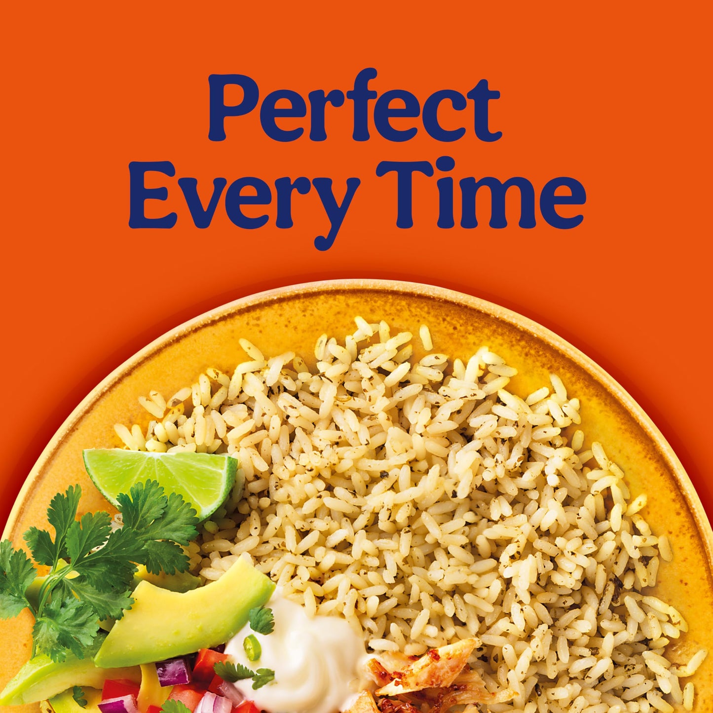 BEN'S ORIGINAL Ready Rice Cilantro Lime Flavored Rice, Easy Dinner Side, 8.5 OZ Pouch (Pack of 12)