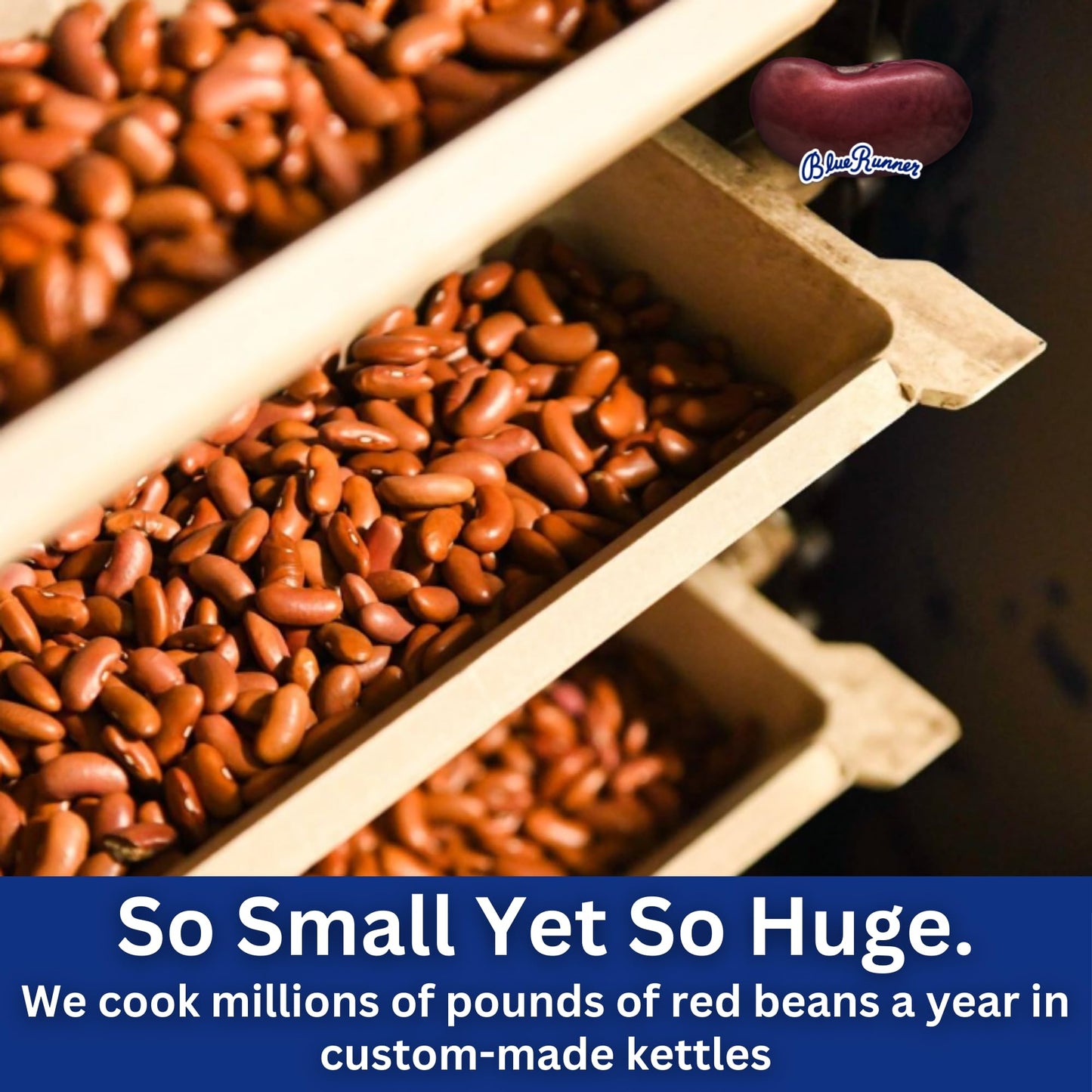 Blue Runner Creole Cream Style Red Beans 16 Oz (Pack Of 6) - New Orleans Best Authentic Red Beans - Slow Cooked to Perfection - A Southern Favorite - Easy Meal out of a Can