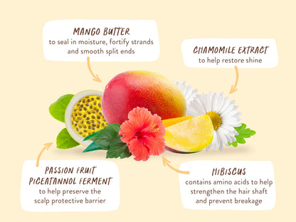 Babo Botanicals Nourishing Mango & Hibiscus Conditioner - For Dry, Damaged, Color-Treated Hair – Moisturize & Soften – Water-Resistant Carton 80% Less Plastic – Vegan – Silicone Free