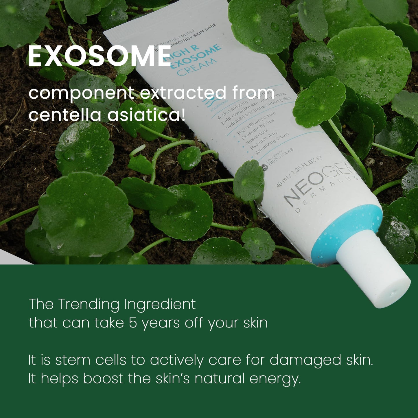 NEOGEN by DERMALOGY High R Exosome Cream, Hydrating Face Moisturizer with Hyaluronic Acid, Peptides & Resveratrol, Korean Skincare for Skin Nourishment & Elasticity, 1.36 fl oz