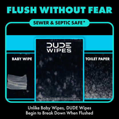 DUDE Wipes Mint Chill Flushable Wipes - Extra-Large Adult Wet Wipes - 6 Pack (288 Count) - Infused with Tea Tree Oil, Vitamin E, and Aloe - Septic and Sewer Safe