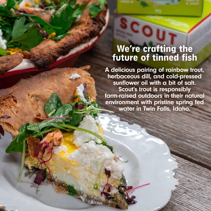 SCOUT Rainbow Trout with Dill | Responsibly Sourced Seafood Tins | Rainbow Trout in BPA-Free, Recyclable Cans (Pack of 1 x 90g tins)