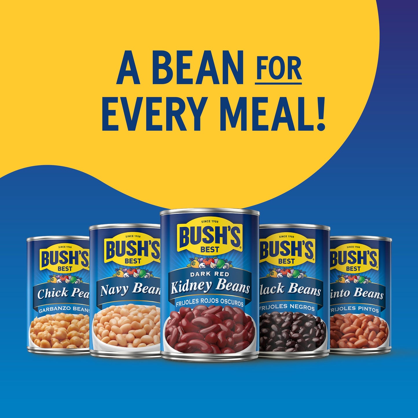 BUSH'S BEST 16 oz Canned Garbanzo Beans (Chickpeas), Source of Plant Based Protein and Fiber, Vegetarian, Low Fat, Gluten Free, (Pack of 12)