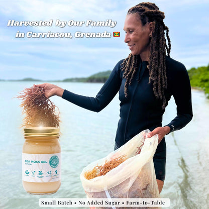 Isle of Spice Sea Moss Gel – Sustainably Grown Caribbean Sea Moss, Natural & Flavored Varieties (16 fl oz, Cinnamon Infused)