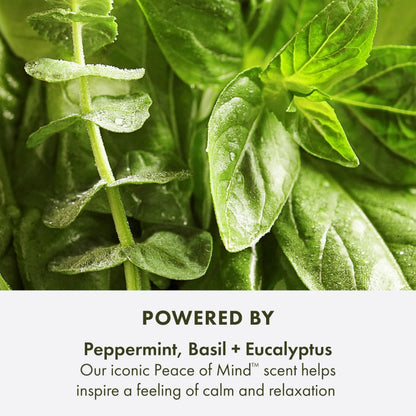 Origins Peace of Mind Relaxing Bath Oil | Softens & Nourishes | with Peppermint, Basil, & Eucalyptus Aromatherapy Essential Oils, 5 Fl Oz
