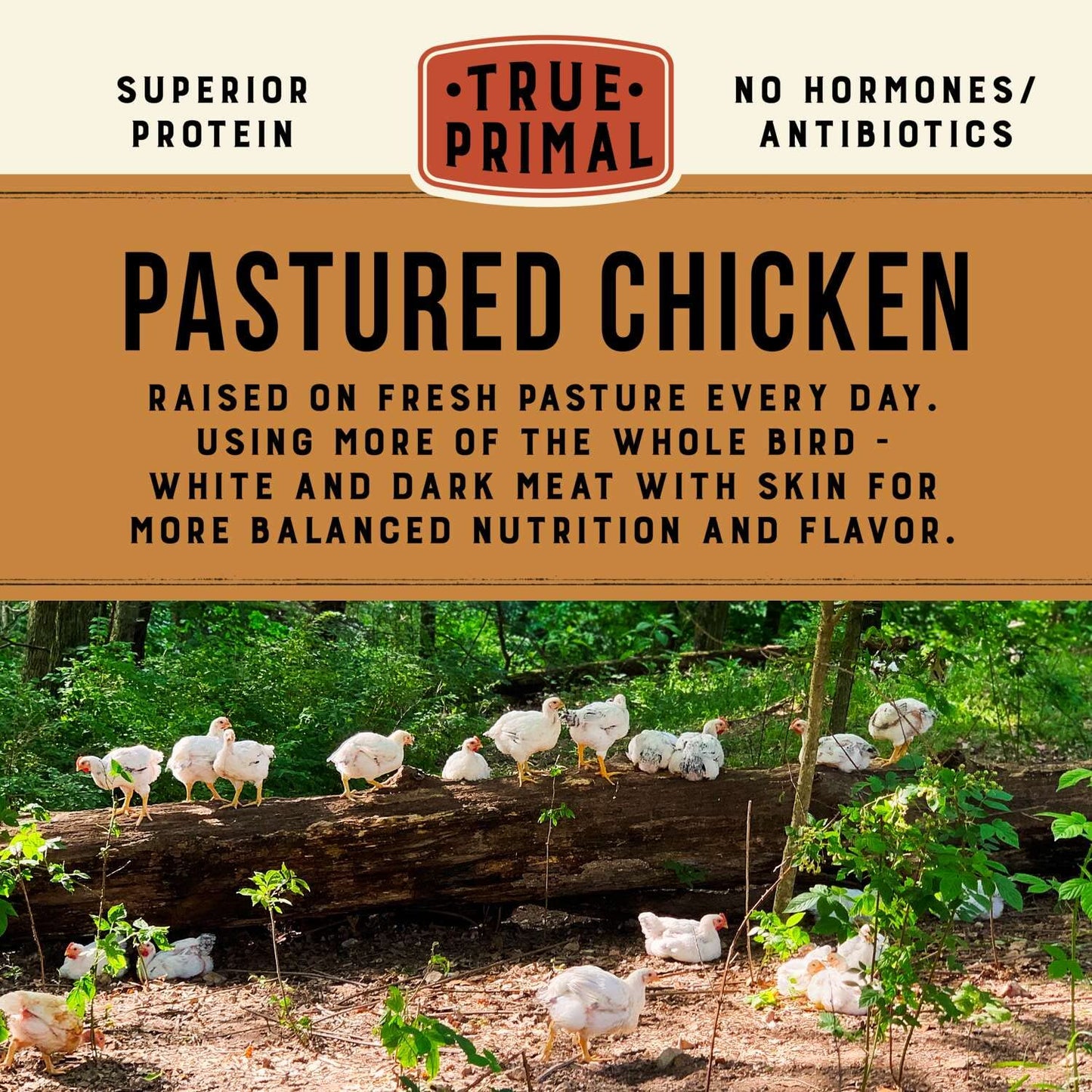 True Primal Pastured Chicken Mini Meatballs 8-pack. Ready to eat. 1/4 lb fully cooked chicken per pouch. Gluten free. Grain free. Paleo. Keto. Carnivore. Whole30. AIP.
