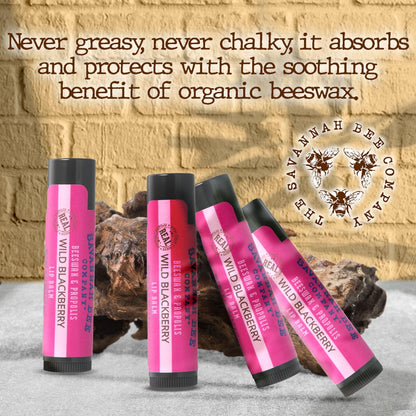 Savannah Bee Company Lip Balm - Silky Smooth Natural Balm (Wild Blackberry 3 pack)