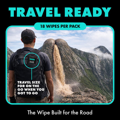 DUDE Wipes Mint Chill Travel Wipes - 6 Packs of 18 (108 Count) - Extra-Large Adult Flushable Wipes - Infused with Tea Tree Oil, Vitamin E, and Aloe - Septic and Sewer Safe