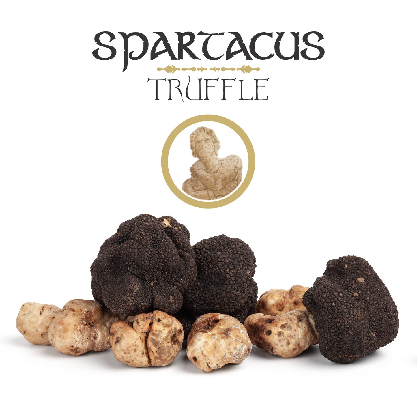 Spartacus White Olympus Truffle Sauce – Gourmet Truffle Sauce with White Truffle – Premium Sauce & Seasoning for Pasta, Meat, Potatoes & Fine Dining