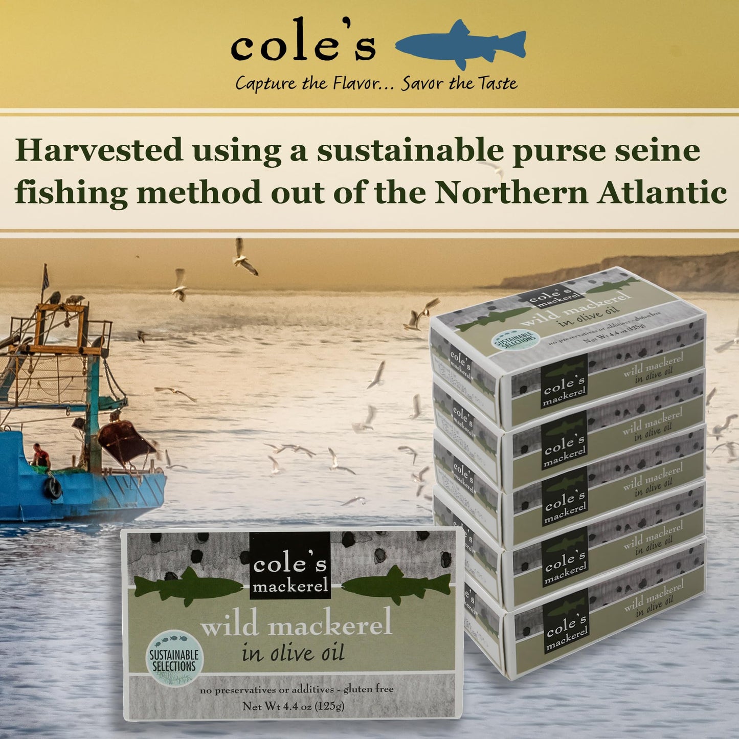 Cole's Pack of 5 Wild Mackerel in Olive Oil - Canned & Jarred Seafood, Skinless, Boneless, Small Atlantic Mackerel Fish, Preservative & Gluten Free