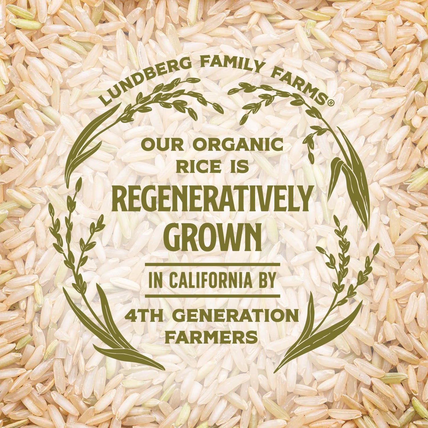 Lundberg Organic Basmati, Long-Grain Brown Rice – Non-Sticky, Fluffy & Aromatic, 32 Oz