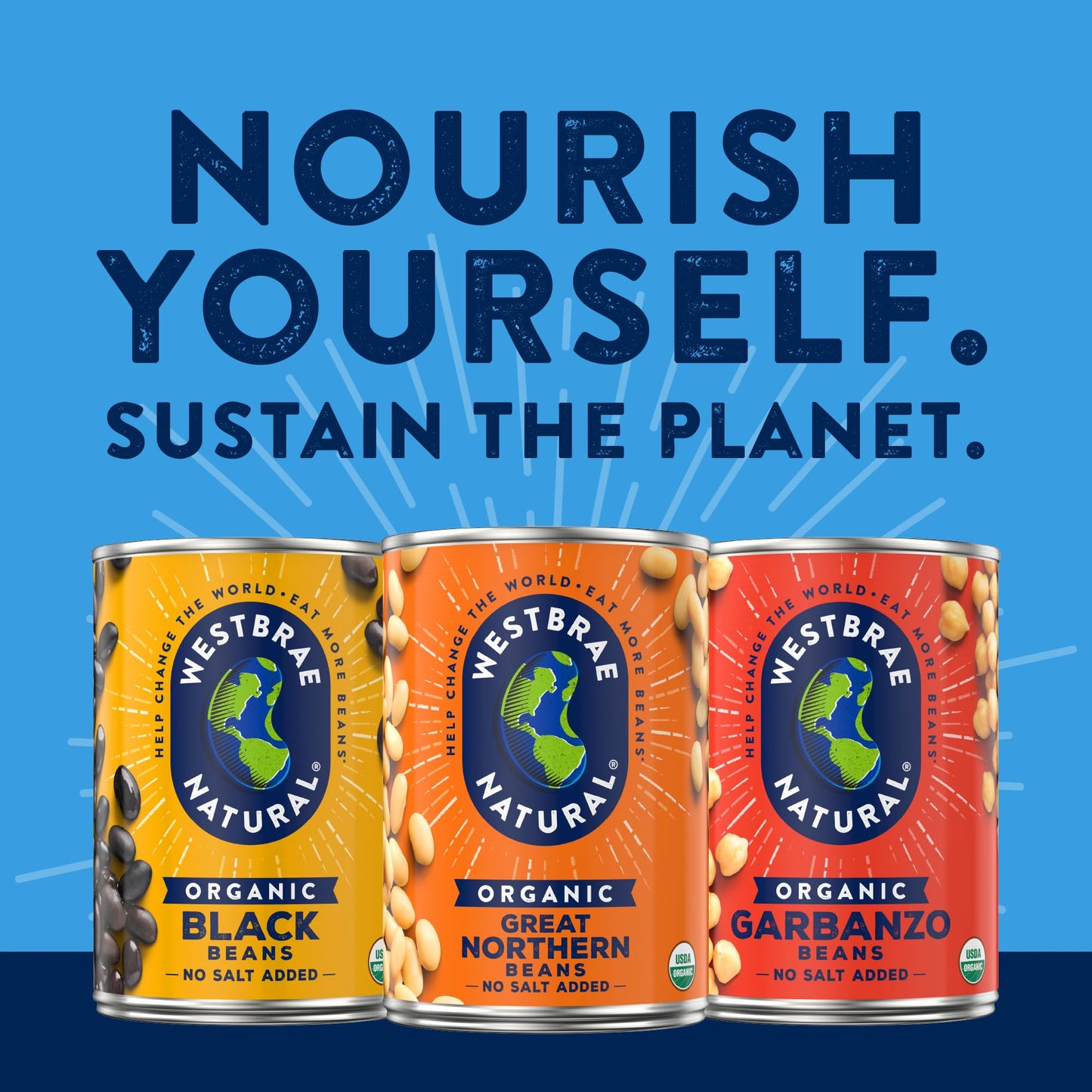 Westbrae Natural, Vegetarian Organic, Great Northern Beans, 15 oz