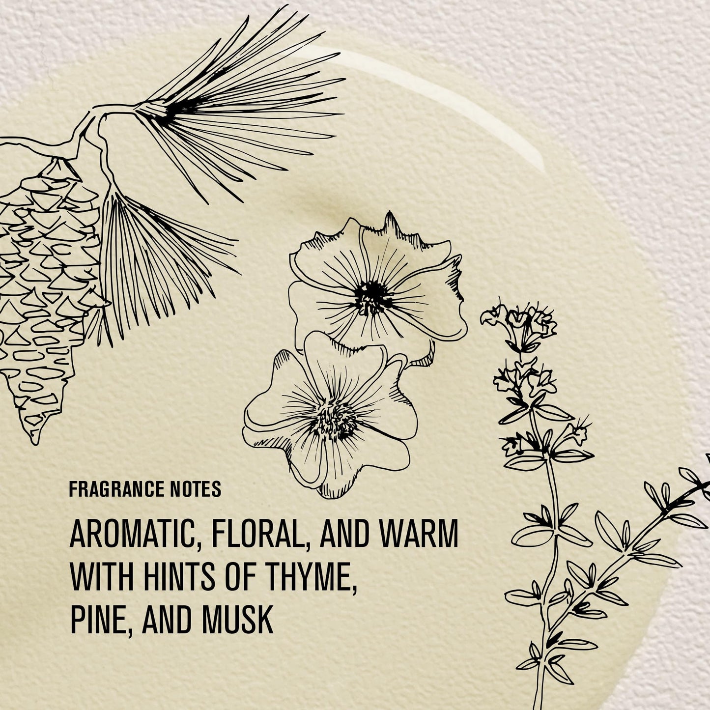 Davines OI Oil | Weightless Hair Oil Perfect for Dry Hair, Coarse & Curly Hair Types | Conrol Frizz | Soft, Shiny Hair