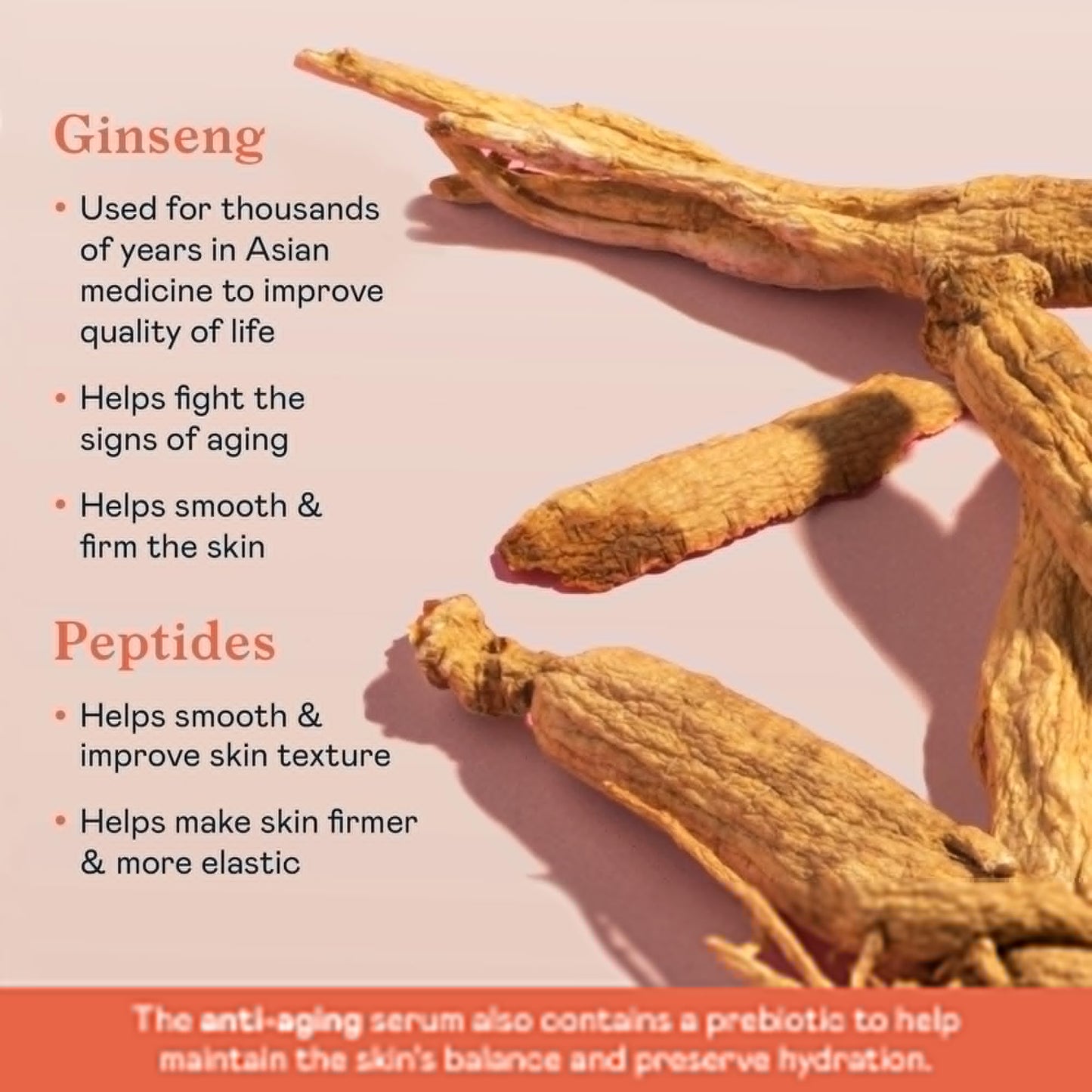 Erborian Ginseng Super Serum, Anti‑Aging, Hydrating Peptide Complex, Smooths Texture & Evens Tone For Soft Skin & Natural Glow, Korean Skincare