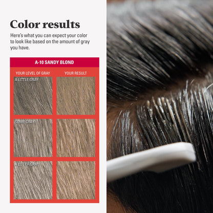 Just For Men Easy Comb-In Color Mens Hair Dye,Easy No Mix Application with Comb Applicator - Sandy Blond,A-10,(Pack of 2)