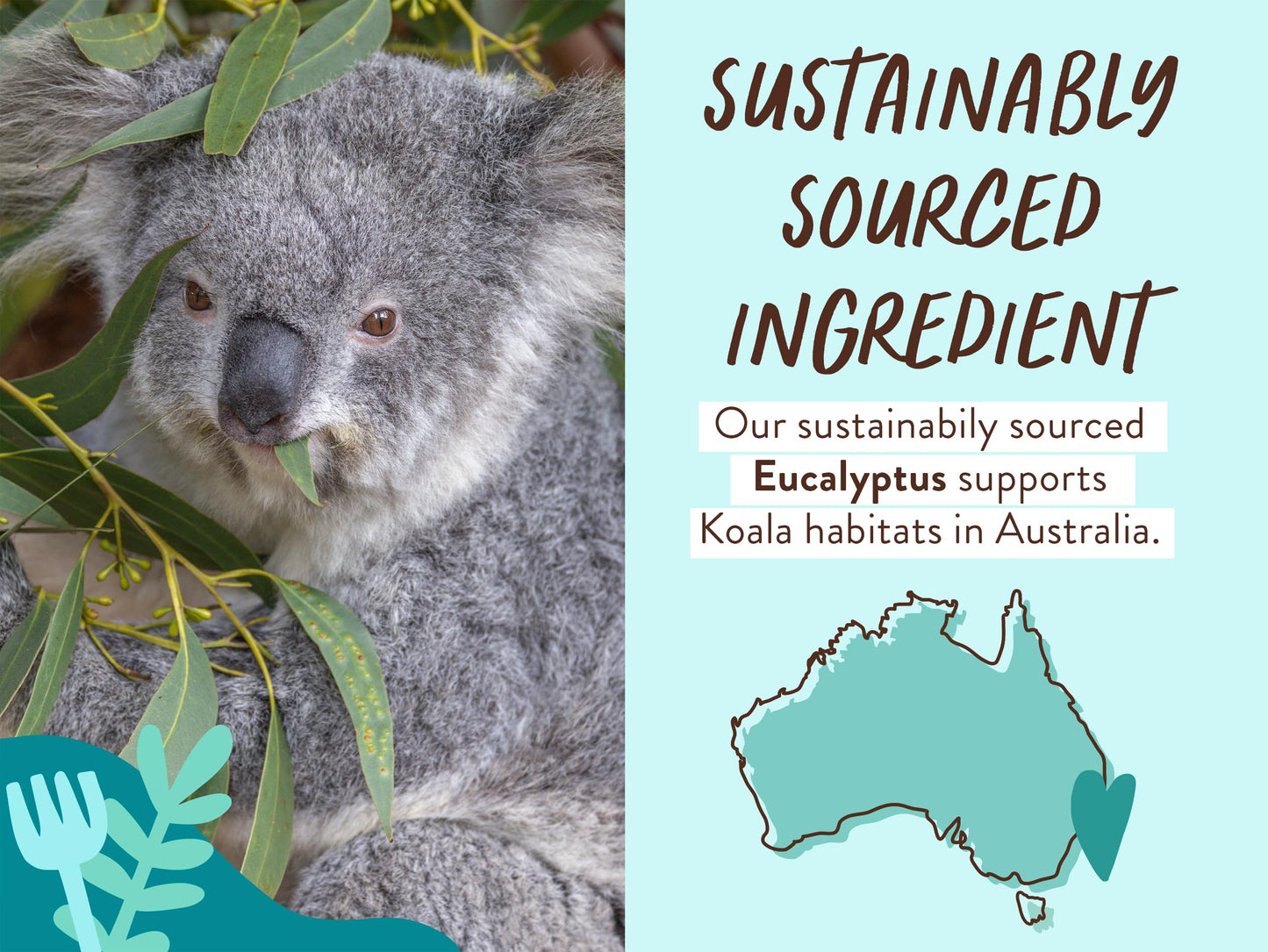 BABO Botanicals Eucalyptus Remedy 2-in-1 Bubble Bath & Wash - Invigorating Eucalyptus, Rosemary & Peppermint - for All Ages - EWG Verified - Vegan