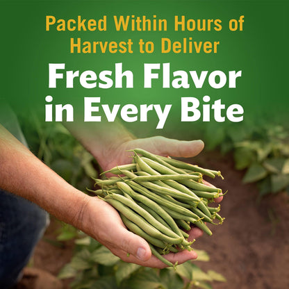 Del Monte Canned Fresh Cut Blue Lake French Style Green Beans, 14.5 Ounce (Pack of 4) French Style, 14.5oz (Pack of 4) 2002159