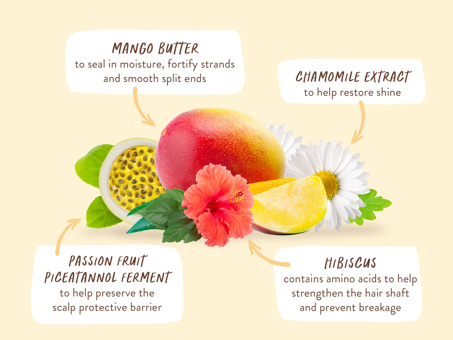Babo Botanicals Nourishing Mango & Hibiscus Shampoo + Bundle with Conditioner- For Dry, Damaged, Color-Treated Hair – Moisturize & Soften - Passion Fruit Ferment for scalp