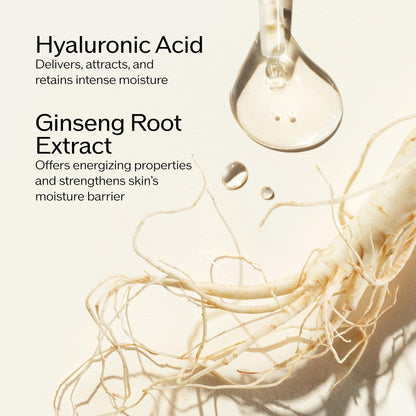 Shiseido Essential Energy Hydrating Cream Refill - 50 mL - Visibly Reduces the Look of Pores & Fine Lines - With Hyaluronic Acid - 24-Hour Hydration - Vegan - All Skin Types