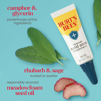 Burt's Bees Cold Sore Treatment and Medicated Lip Balm, With Menthol and Eucalyptus Oil, Natural Origin Skincare, 2 Tubes, 0.07 oz./0.15 oz.