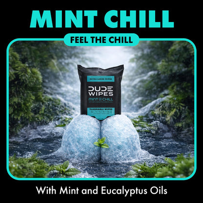 DUDE Wipes Mint Chill Travel Wipes - 6 Packs of 18 (108 Count) - Extra-Large Adult Flushable Wipes - Infused with Tea Tree Oil, Vitamin E, and Aloe - Septic and Sewer Safe