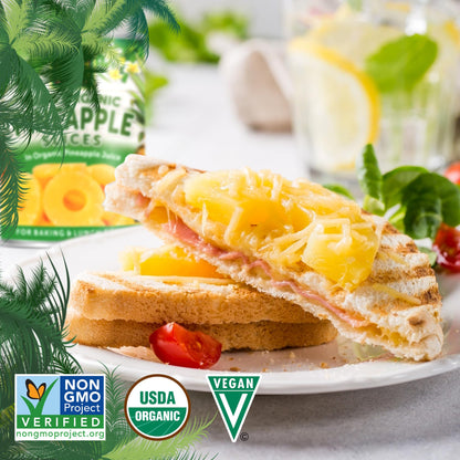 Native Forest Pineapple Slices - Pineapple Canned, Pineapple Organic, Canned Fruit No Sugar Added, Organic Pineapple Juice - 15 Ounce (Pack of 6)