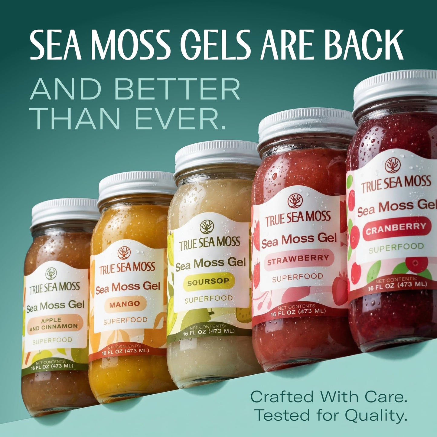 TrueSeaMoss Sea Moss Gel – Made in USA – Wildcrafted Seamoss, Fruits & Jarred Vegetables – Soursop, Pack of 1 (Labels may Vary)