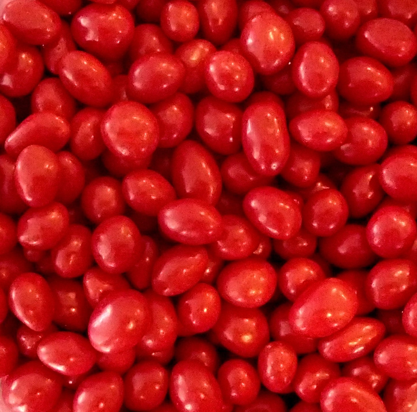 Sconza Boston Baked Beans 1 Pound ( 16 OZ )