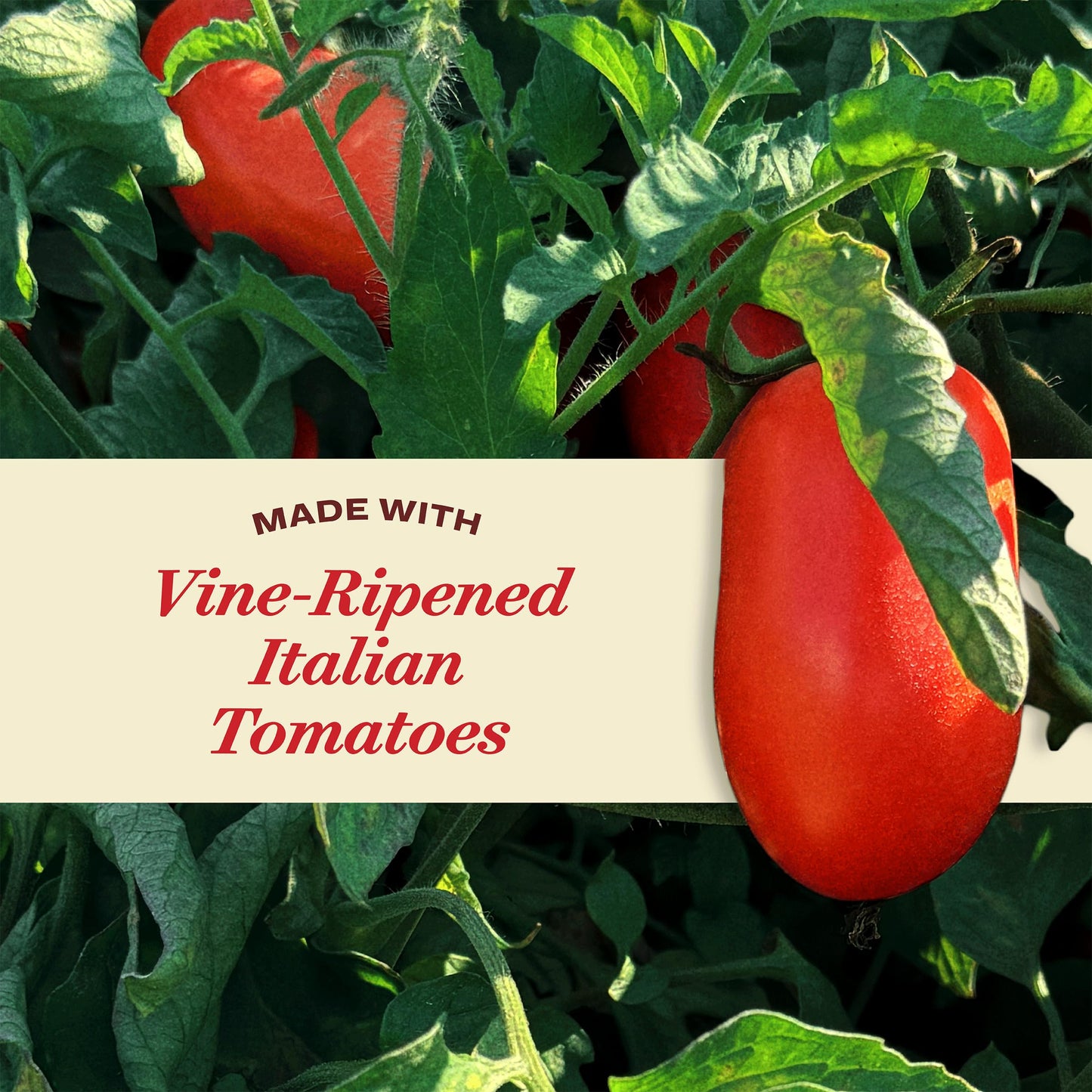 Rao's Homemade Fire Grilled Vegetable Pasta Sauce, 24 oz, Tomato Sauce, All Purpose, Premium Quality, Tomatoes from Italy, Peppers, and Red Onion