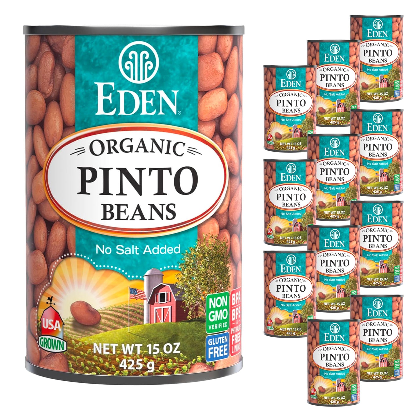 Eden Organic Pinto Beans, 15 oz Can (12-Pack), No Salt Added, Non-GMO, Gluten Free, Vegan, Kosher, U.S. Grown, Heat and Serve, Macrobiotic, Frijol Pinto
